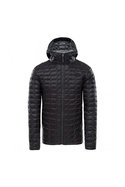 The North Face Thermoball Hooded Insulated Erkek Mont Yesil L Botanical Garden Green Fiyatlari Ozellikleri Ve Yorumlari En Ucuzu Akakce