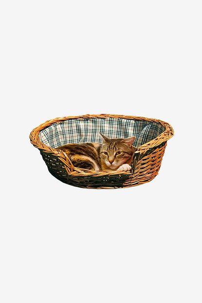 Did Homeware Satir Natural Hasir Kedi Yatagi Xsmall Boy Trendyol
