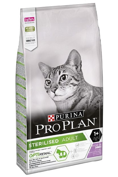 Kedi Mamasy