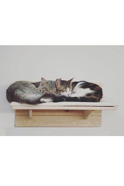 Kedi Kopek Mobilyasi Catply Kedi Yatagi Duvar Modulu Trendyol