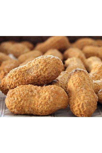 emsal yeni hasat kabuklu tuzlu kavrulmus osmaniye yer fistigi 1000 g fiyati yorumlari trendyol