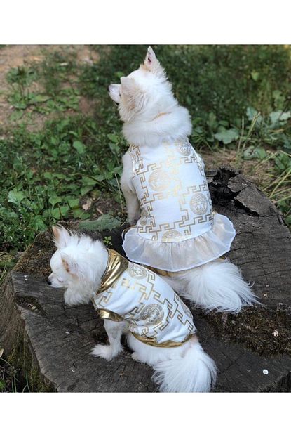 Jackboss V Elbise Kedi Kopek Elbisesi Trendyol