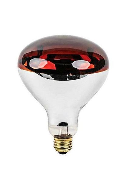 Tungsram 250 W Infrared Ampul Isiticili Lamba Kirmizi Inf250k Fiyati Yorumlari Trendyol