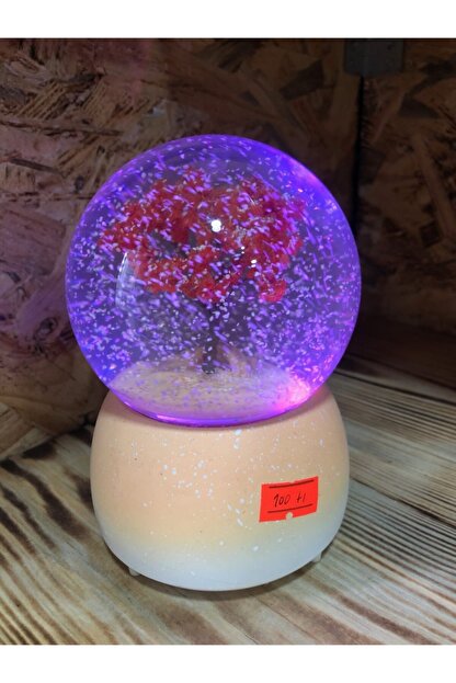 Zula Store Kar Kuresi Isikli Muzikli En Guzel Hediye Buyuk Boy Kar Kuresi Fiyati Yorumlari Trendyol