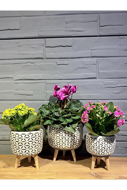 polen flower ayakli papatya saksi beton