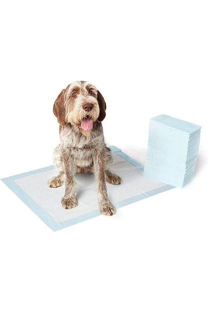 Doglife Ekonomik B Kalite Kedi Kopek Cis Pedi 120 Adet 60x90 Trendyol