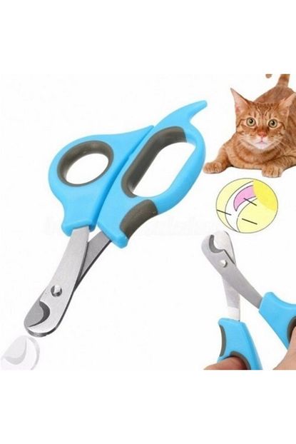 Nova Ticaret Kedi Kopek Tirnak Makasi Renkli 12 X 6 X 3 Cm Trendyol