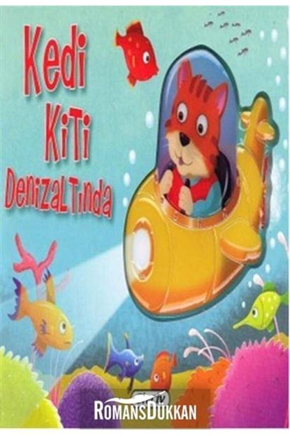 kedi kiti