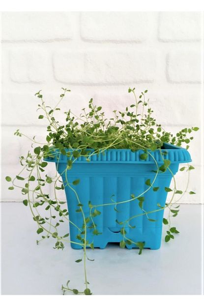 Ekodoga Balkon Saksi 2 2 Lt 5 Adet Turkuaz Renkli Saksi Plastik Saksi Ova Saksi Cicek Saksisi Trendyol