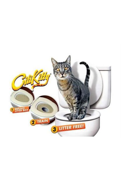 Toptanci Kapinda Citikitty Kedi Tuvalet Egitim Seti Trendyol