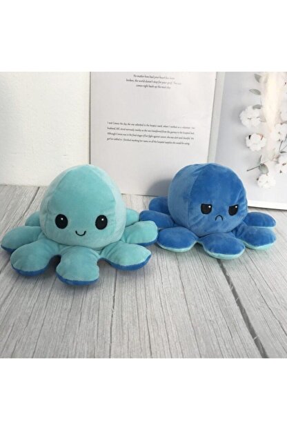 ahtapota benzer hayvan bulmaca