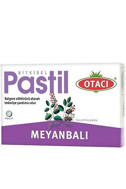 Otaci Meyanbali Pastil 16 Adet Trendyol