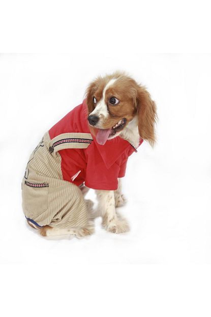 Pawstar Cool Dude Tulum Kedi Kopek Tulumu Kiyafeti Small Trendyol