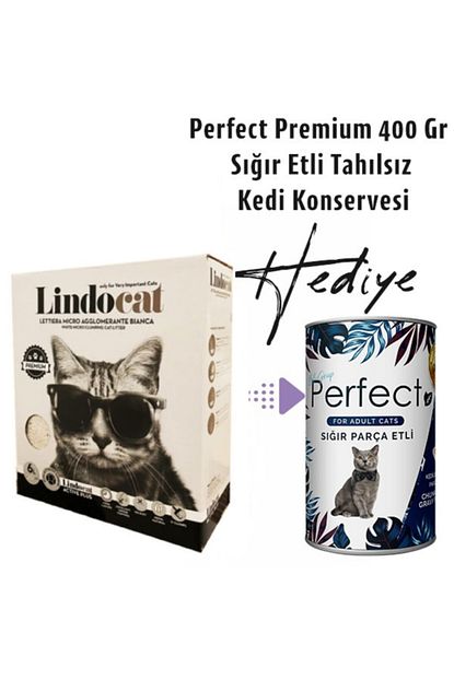 Lindo Cat 6 Lt Lindocat Active Carbon Kutu Kedi Kumu Perfect Konserve Hediye Trendyol