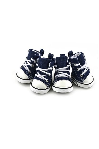 perka kedi kopek kot converse