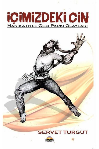 Seriyye Yayinevi Ankara Icimizdeki Cin Hakikatiyle Gezi Parki Olaylari Trendyol