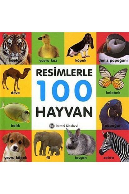 remzi kitabevi resimlerle 100 hayvan kucuk boy fiyati yorumlari trendyol