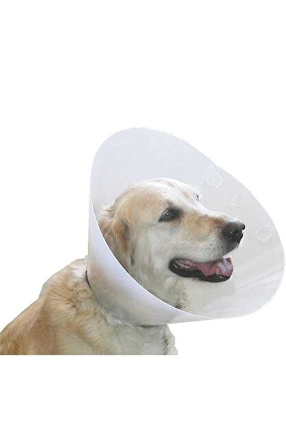 Cesitli Kopek Koruma Boyunluk 12 5cm 0 6mm Trendyol