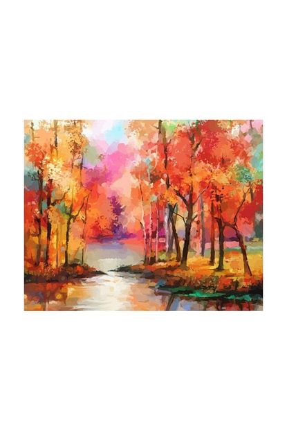 Patladi Gitti Sonbaharin Rengi Sayilarla Boyama Cerceveli Hobi Seti 40x50 Cm Fiyati Yorumlari Trendyol