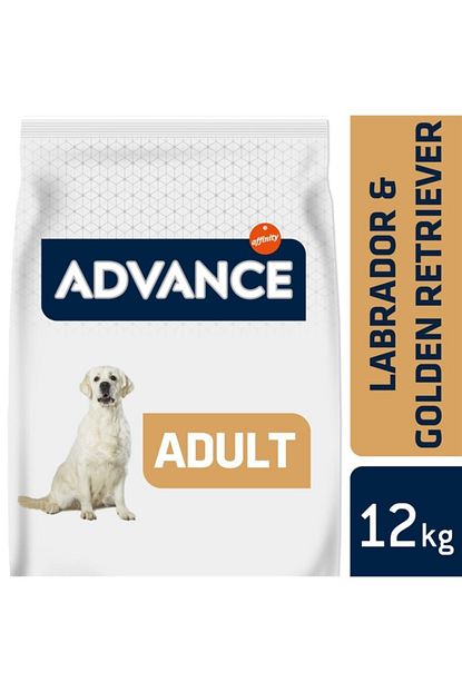 Advance Dog Labrador Retriever 12 Kg Kopek Mamasi Trendyol