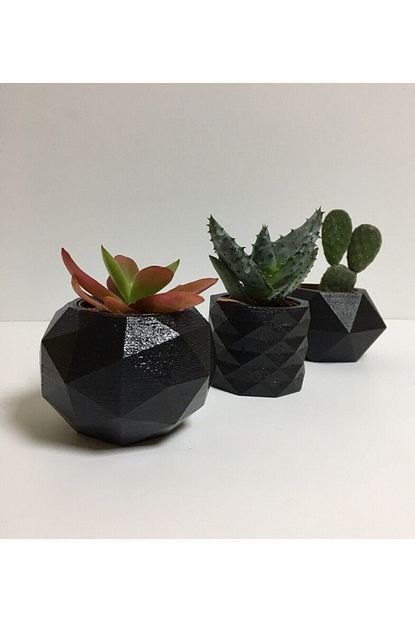 Decolight 3 Lu Siyah Renk Beton Sukulent Ve Kaktus Saksi Seti Trendyol