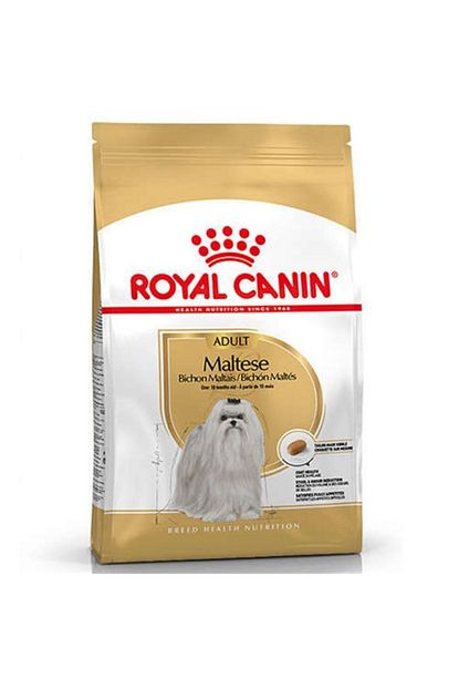 royal canin maltese bichon maltais kopek mamasi 1 5 kg fiyati yorumlari trendyol
