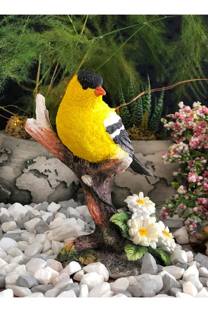 may gift shop saka kusu fiyati yorumlari trendyol