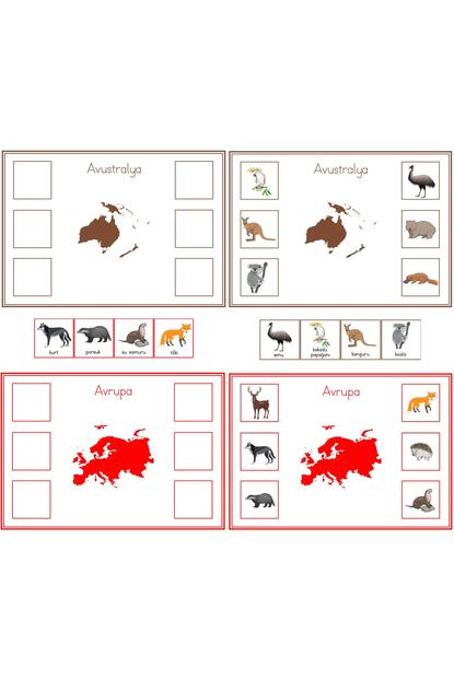 montessori gemisi kita hayvan eslestirme kartlari fiyati yorumlari trendyol