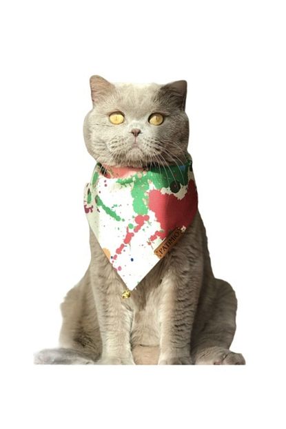 https www trendyol com patimio kedi fulari p 71955774