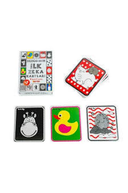Diytoy Yayinlari Cocuk Gelisim Ve Egitici Kartlari 9 Lu Egitim Seti Trendyol