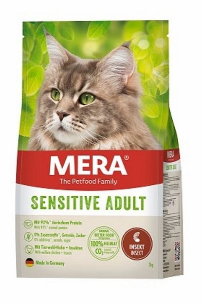 mera tahilsiz sensitive insect yetiskin