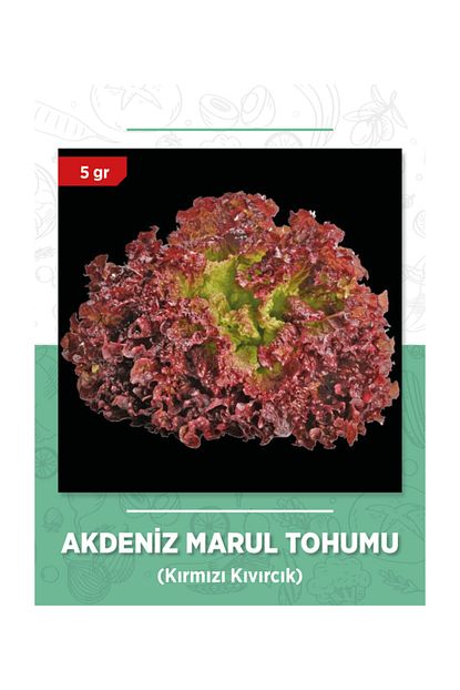 Zenit Tohum Kirmizi Akdeniz Kivircik Marul Tohumu 5 Gram Trendyol