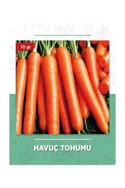 Zenit Tohum Havuc Tohumu 10 Gram Trendyol