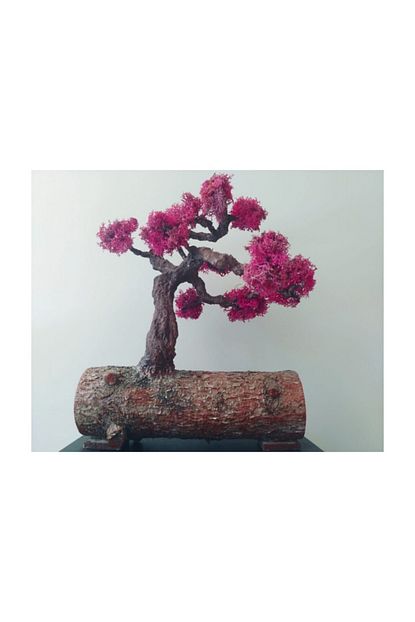 Nar Bonsai Bonsai Kutuk Ustune Islenmis Kirmizi Izlanda Yosunlu Yapay Diorama Agac 21 Cm Trendyol