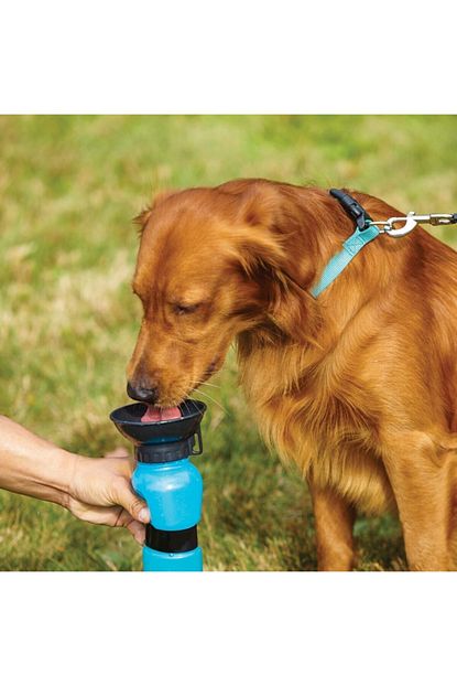 Pet Zoom Petzoom Kopek Seyahat Su Kabi Pztw6 Trendyol