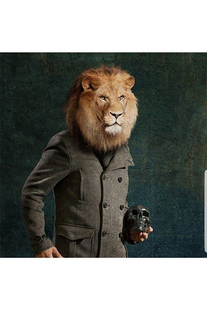 Glr34 Aslan Figurlu Sandalye Sirt Kumasi Trendyol