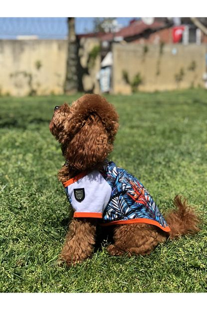 Lindodogs Amazon Kopek Tshirt Beden 7 Trendyol