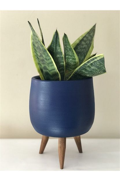 Topsan Ahsap Ayakli Tombul Lacivert Saksi 15cm Trendyol