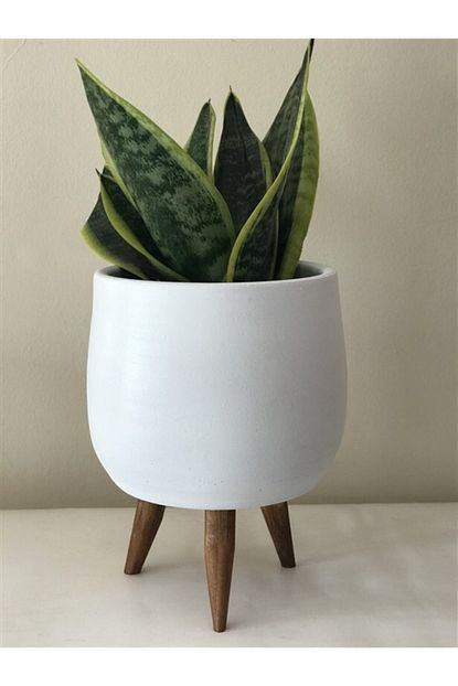 Topsan Ahsap Ayakli Tombul Beyaz Saksi 13cm Trendyol