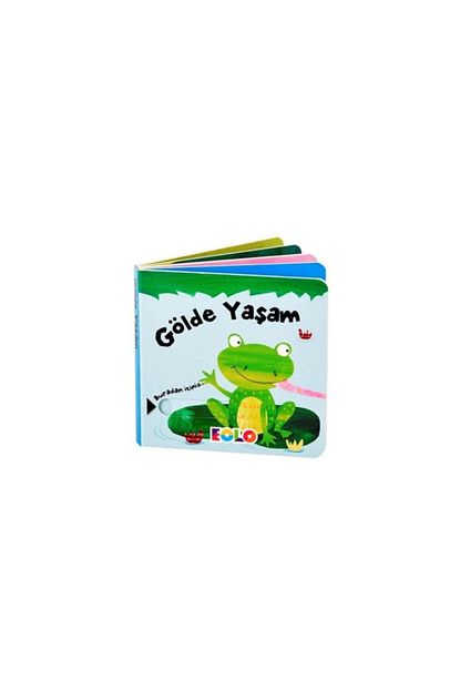 Eolo Surgulu Kitap Golde Yasam Trendyol