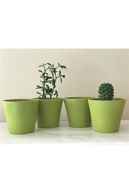 Topsan Yesil Saksi 10cm 4 Lu Trendyol