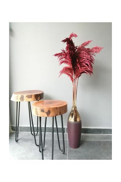 Kuru Cicek Deposu Gercek Kuru Cicek Dokulmeyen Buyuk Visne Curugu Rengi Pampas Demeti 100 Cm 7 Adet Trendyol