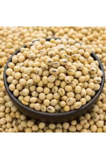 Dogal Soya Fasulyesi 1 Kg Gdo Suz Trendyol