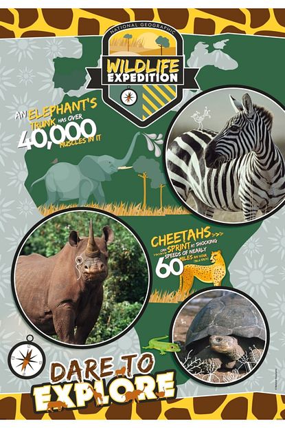 Clementoni Cocuk Clementoni National Geographic Kids Wildlife Expedition 180 Parca Cocuk Puzzle Trendyol