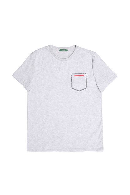 Limon Company Erkek Gri T Shirt Boyner Trendyol