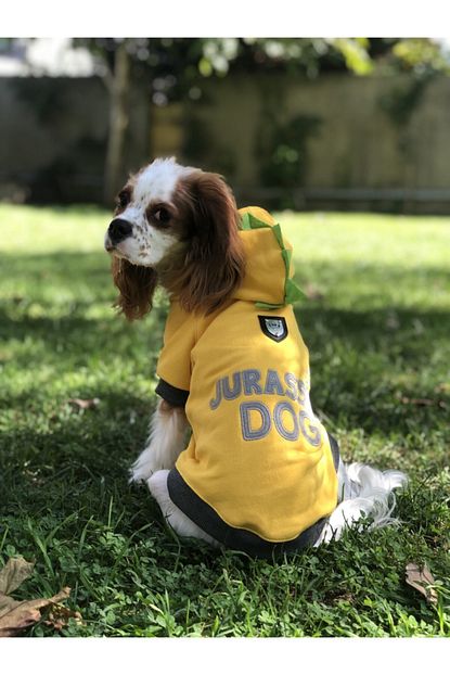 Lindodogs Jurassic Dog Kucuk Ve Orta Irk Kopek Sweatshirt Trendyol