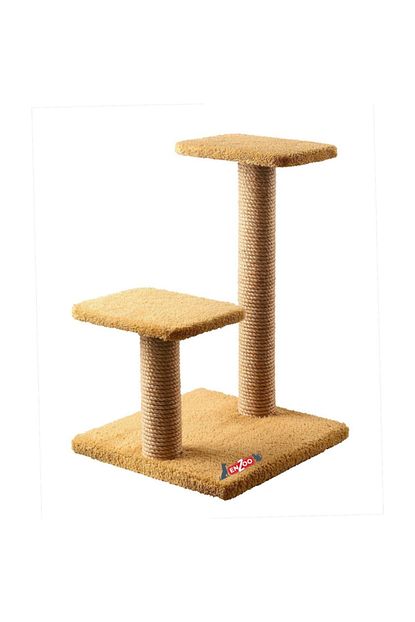step kedi tirmalama