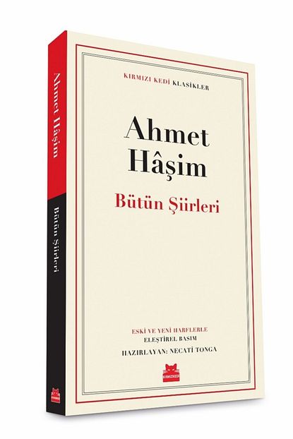 Kirmizi Kedi Yayinevi Butun Siirleri Trendyol