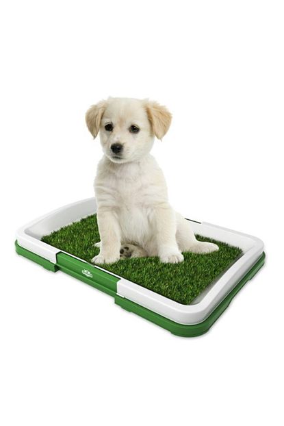 Eslem Dukkan Kopek Tuvalet Egitim Seti Potty Trainer Trendyol