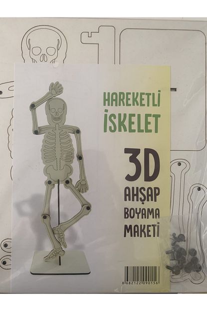 iskelet boyama